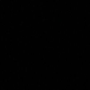 Meet your Posher, Mya